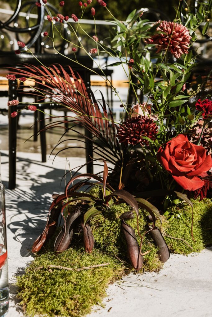 Mariage Atypique en Suisse à La Scie, Buvette de la Patinoire à Charmey. Mariés tatoués, mariage Metal, ambiance rock Suisse, Photographe de Mariage atypique.