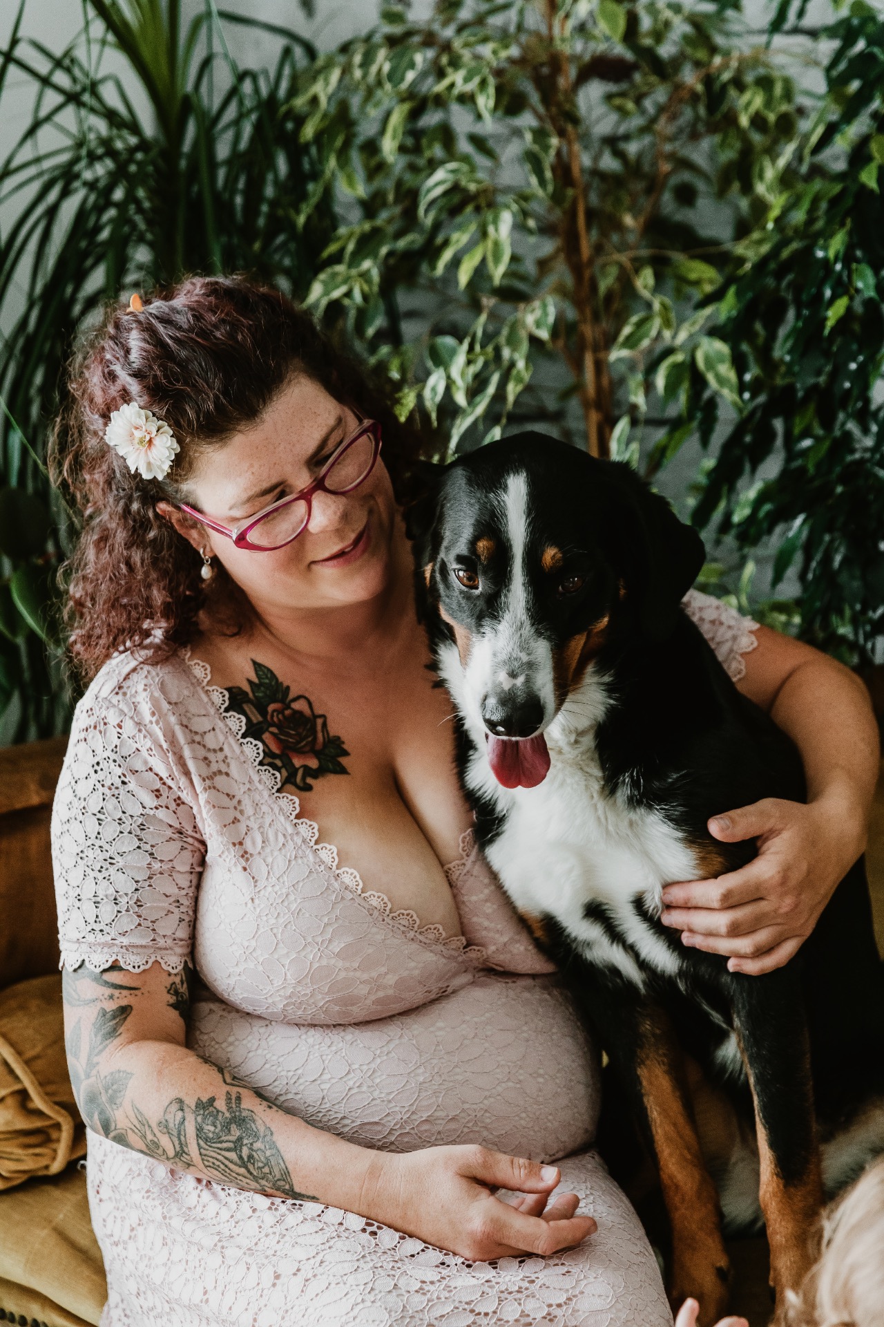 Photographe chien en studio en suisse